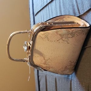 Alyssa Brand Gold Special Occasion Purse